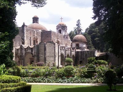 Desierto de los Leones National Park, CDMX: parada en “Planes con tu perro”