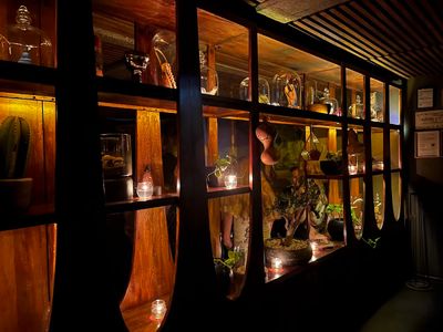 Xaman Bar, Juárez, CDMX: parada en “Cocteles frescos” (3)