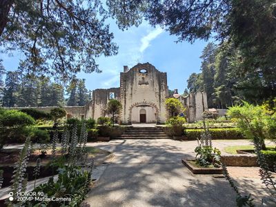 Desierto de los Leones National Park, CDMX: parada en “Planes con tu perro” (2)