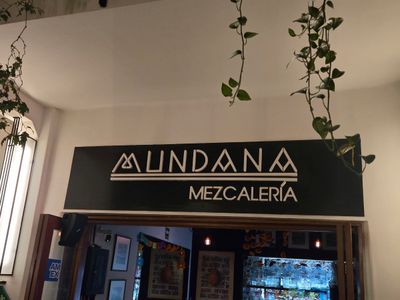 Mundana, Barrio Alameda, CDMX: parada en “Paseo por la Alameda Central” (5)