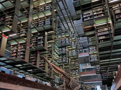 Biblioteca Vasconcelos, Buenavista, CDMX: parada en “Espacios, libros y diseño en CDMX” (2)