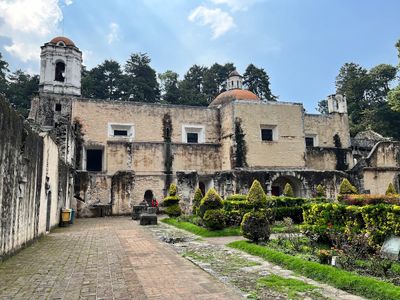 Desierto De Los Leones