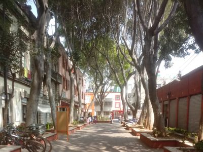 Lagunilla, Centro, Mexico City: stop on “Sunday”
