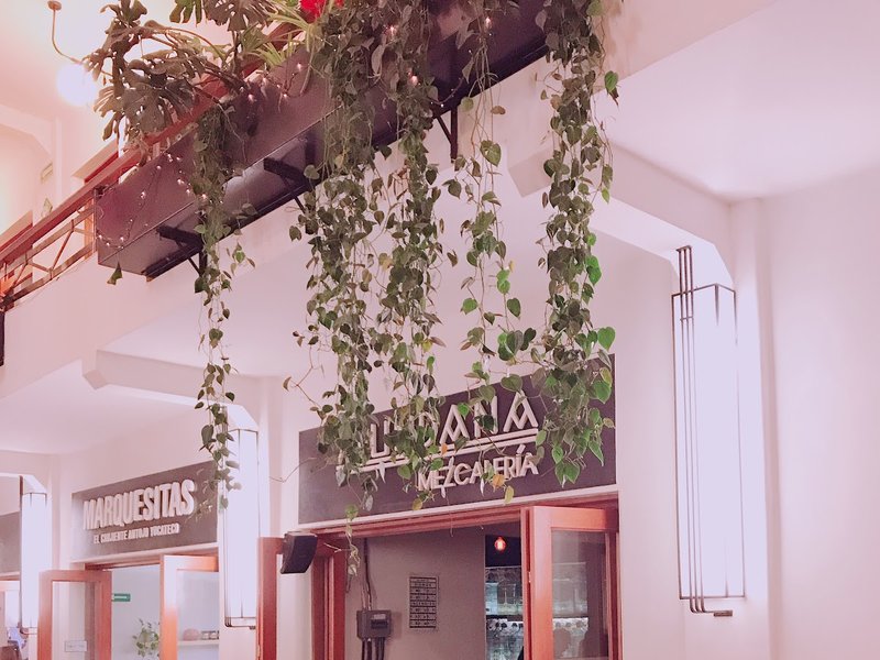 Paseo por la Alameda Central