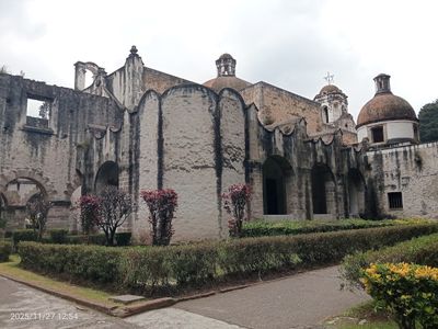 Desierto de los Leones National Park, CDMX: parada en “Planes con tu perro” (5)