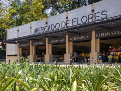 Mercado de Flores, Chapultepec, Mexico City: stop on “Slow morning off” (2)