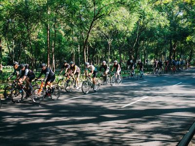 The Service Course México, Polanco, Mexico City: stop on “Bike stores with cafes near Condesa” (6)