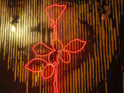 Foro Bizarro, Roma Norte, Mexico City: stop on “Places to enjoy live music CDMX” (2)