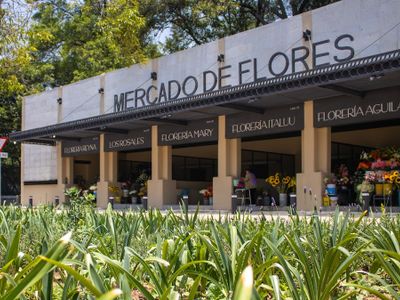 Mercado de Flores
