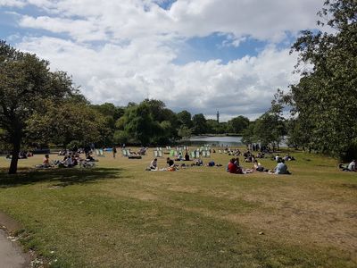 Regent's Park, Villas Bugambilias: parada en “Tacos de asada o al vapor!” (5)