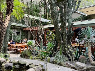 Botánico, Condesa, CDMX: parada en “Feliz cumpleaños” (5)