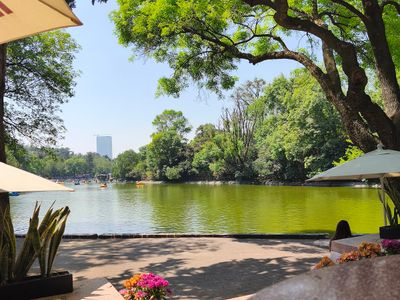 Nevería Roxy - Chapultepec, Chapultepec, Mexico City: stop on “Slow morning off” (3)
