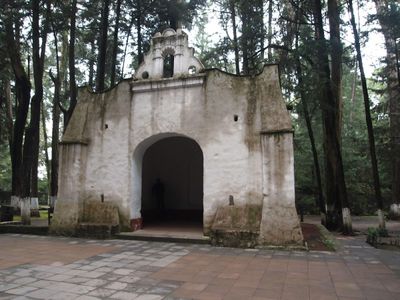 Desierto de los Leones National Park